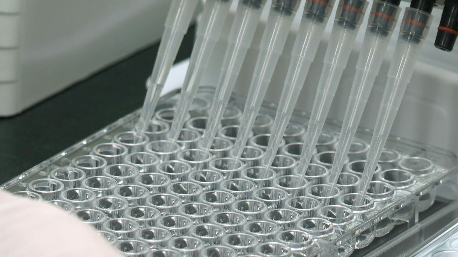 China anunció que fueron aprobados ensayos en humanos de dos vacunas experimentales para combatir el nuevo coronavirus.