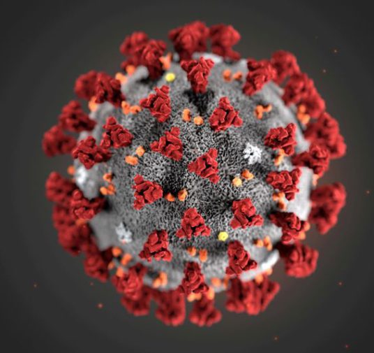 Destacado científico EEUU dice que no contaría con tener una vacuna contra el coronavirus pronto