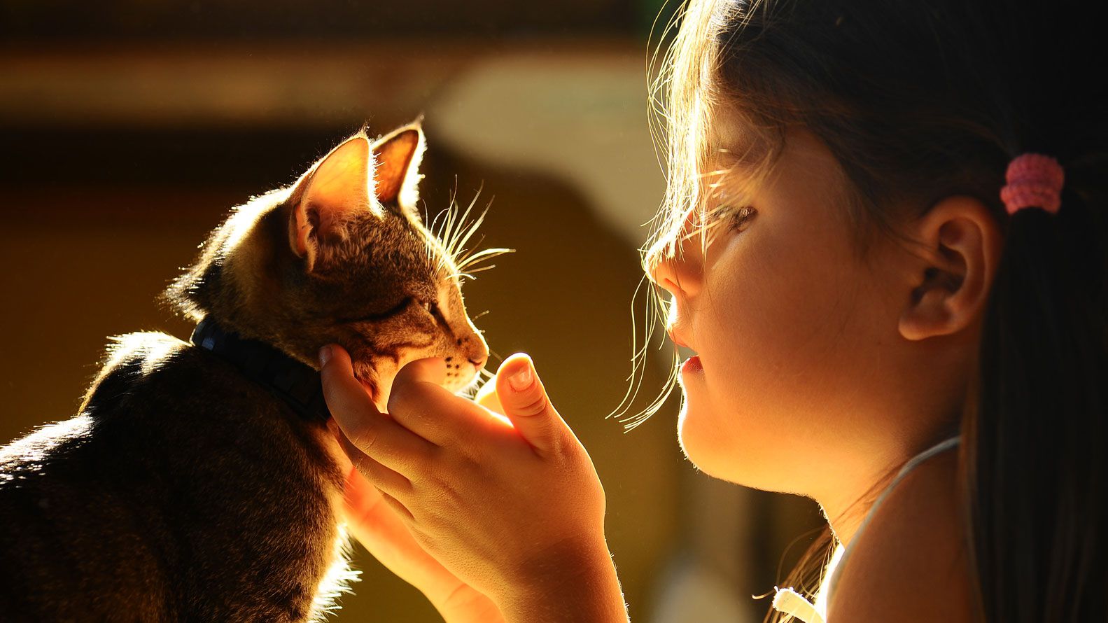 La necesidad del contacto físico es humana y también de muchos otros mamíferos. (Shutterstock)
