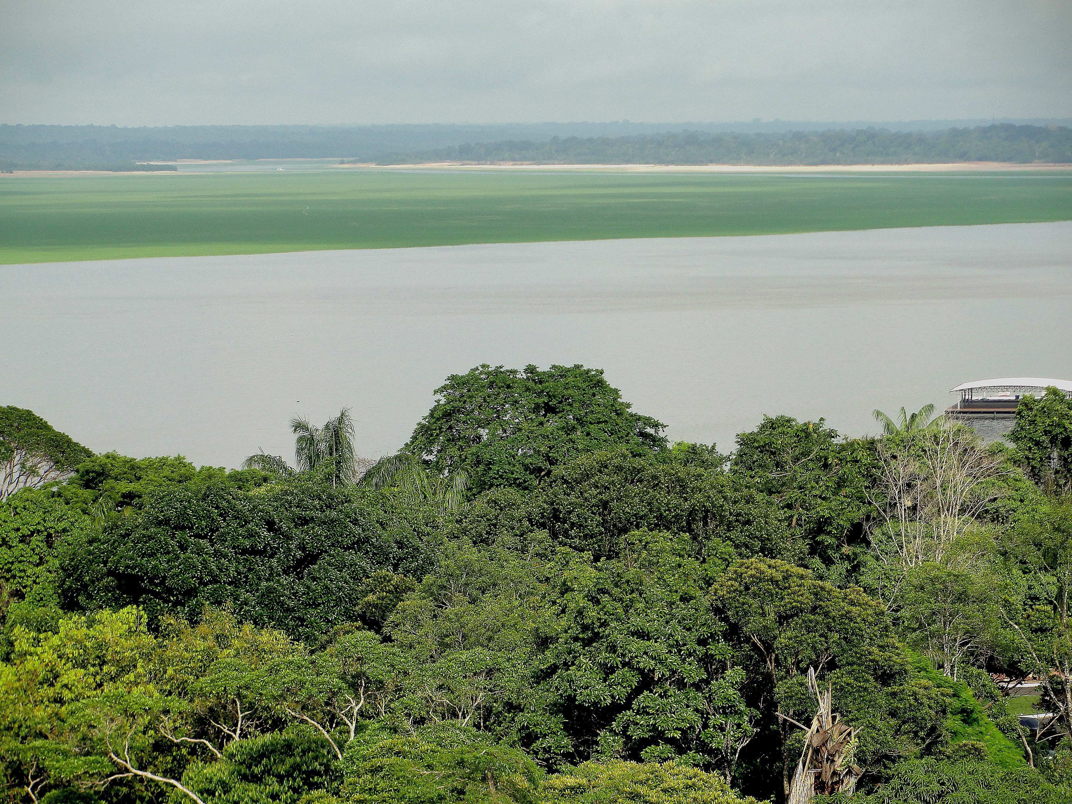 Fotografía de archivo que muestra una panorámica de la Amazonía tomada en la ciudad de Manaos (Brasil). EFE/Marianna Wachelke/Archivo 