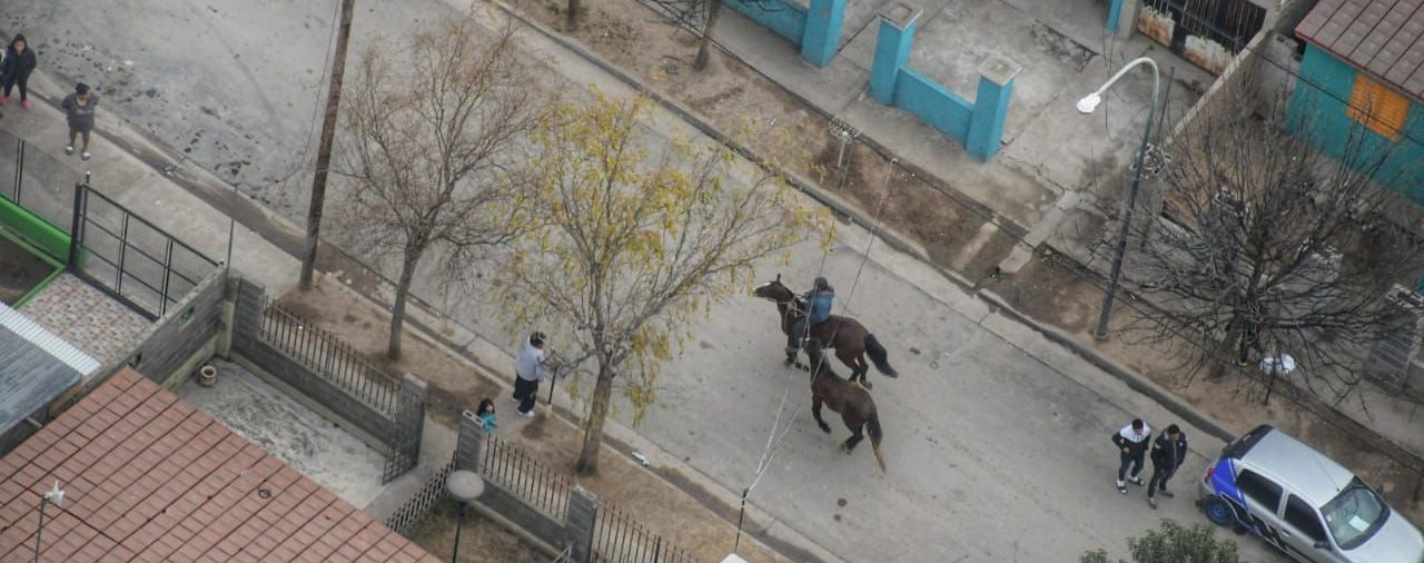 El operativo con un helicóptero que montó la Policía de Córdoba para dispersar al publico de una carrera de caballos ilegal