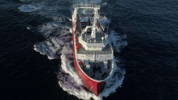 Escala la "Guerra del langostino": por un bloqueo sindical 500 mil kilos de mariscos están a punto de pudrirse