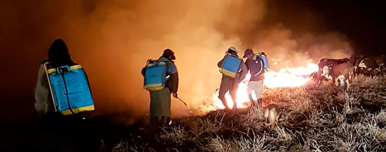 La inseguridad rural no se detiene: se incendiaron 700 hectáreas en Santa Fe y crece el malestar de los productores