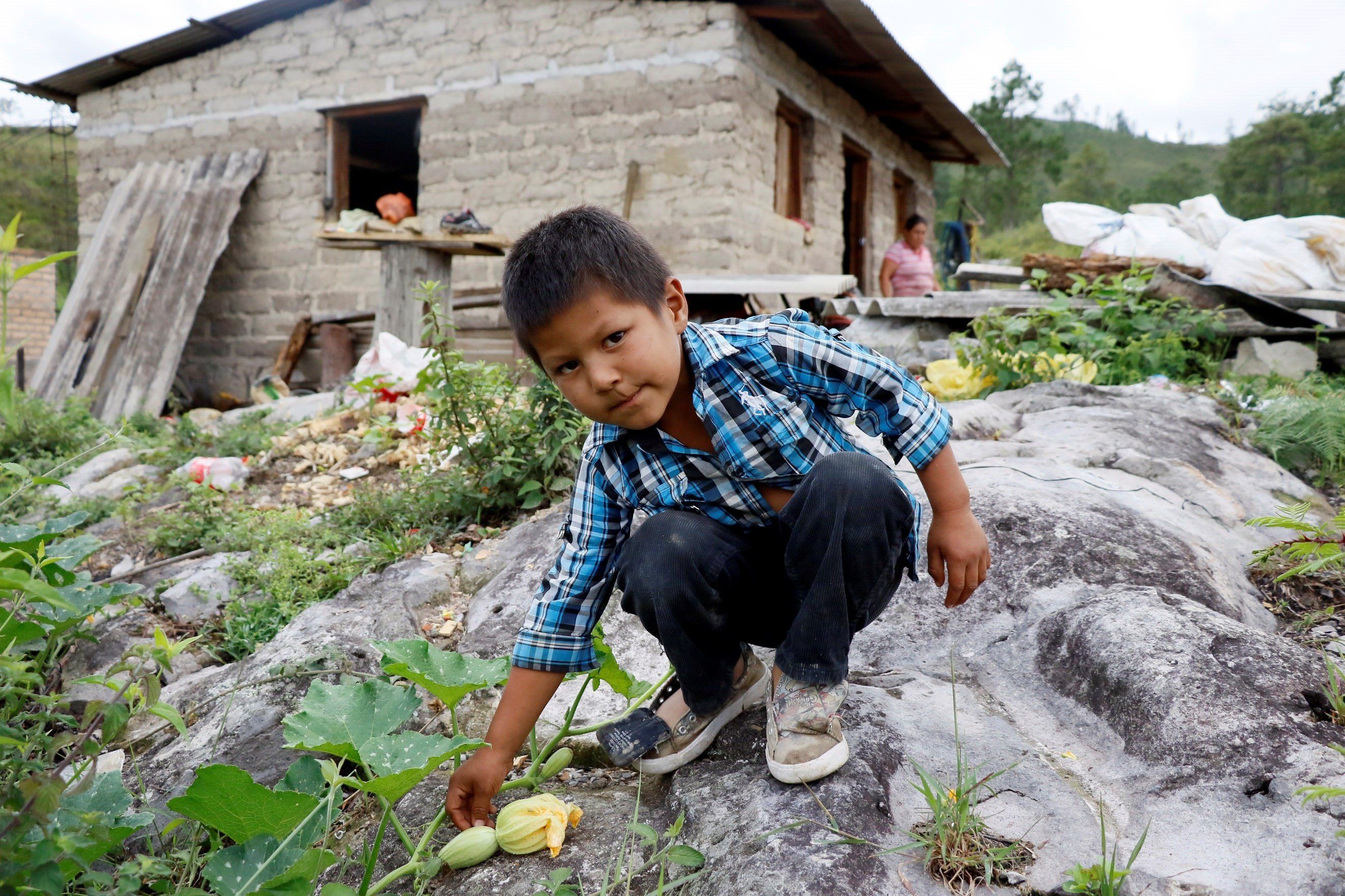 Una familia realiza labores domésticas hoy, sábado, en el valle de amárateca al norte de la capital. EFE/Humberto Espinoza 