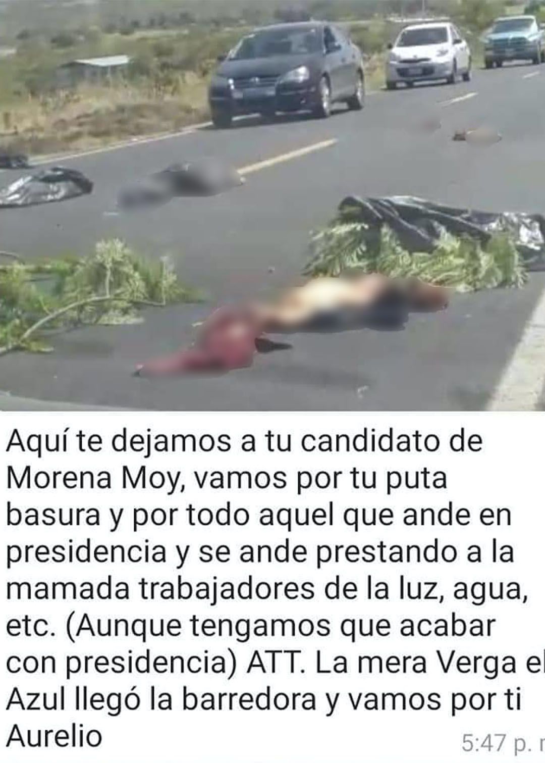 descuartizados en Guanajuato (Foto: Twitter@fernand17704066)