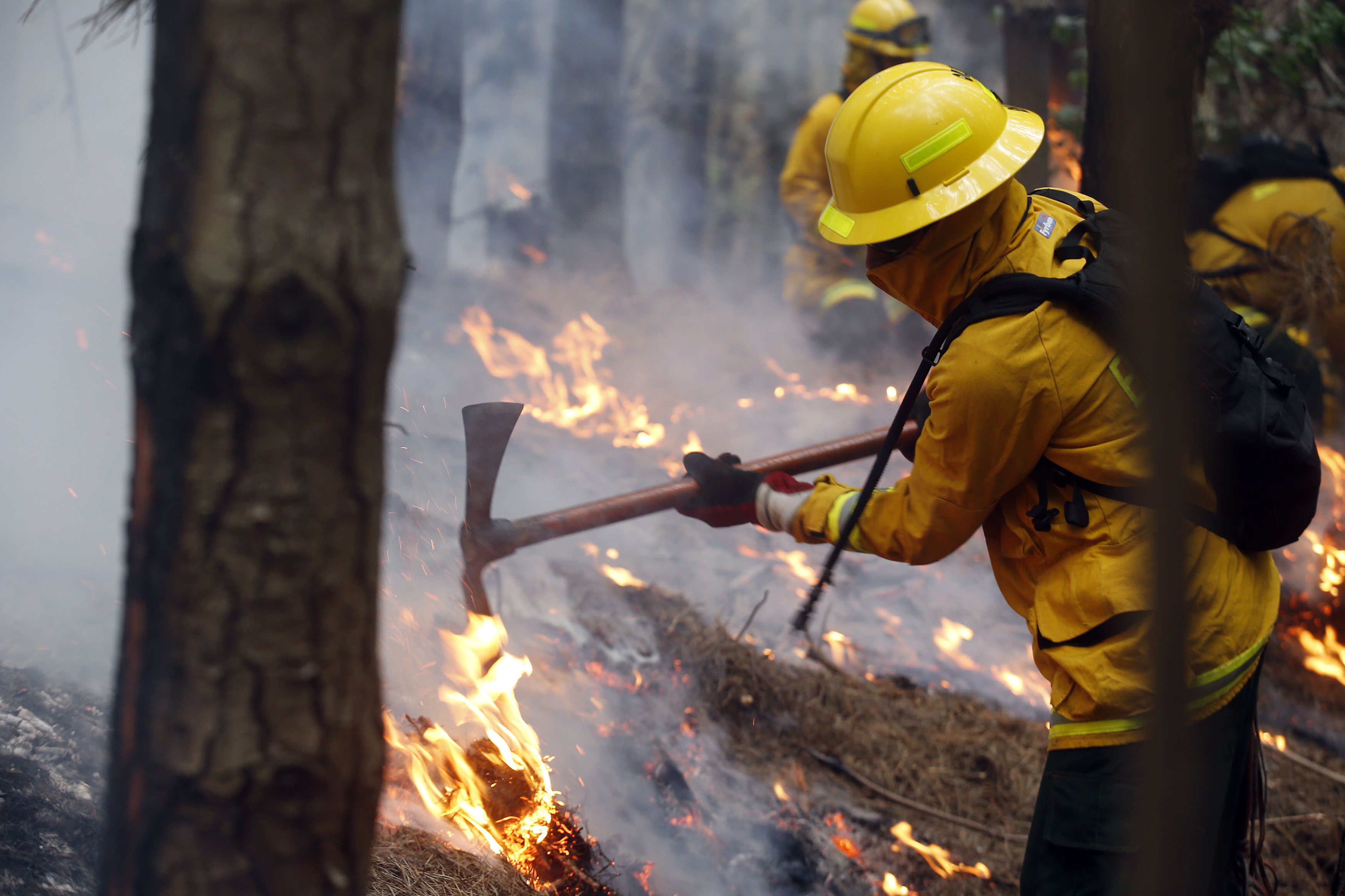 Según un comunicado del Gobierno provincial, los bomberos trabajan de manera "incesante" en la zona denominada Cruz de Caña, situada en el departamento de Cruz del Eje. EFE/ Elvis González /Archivo 