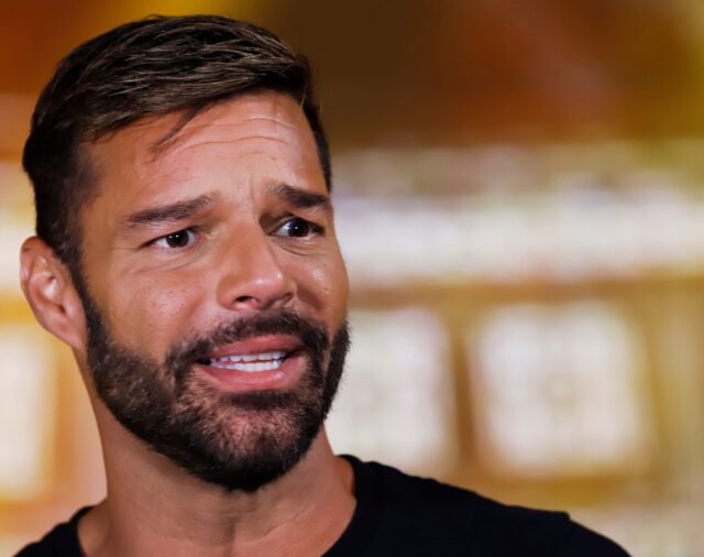 Los hijos de Ricky Martin y sus variados gustos relacionados con su futuro