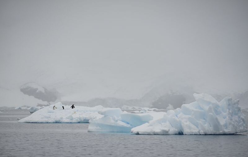 El iceberg más grande del mundo está en camino a estrellarse con una isla del Atlántico Sur