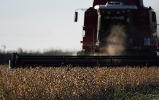 La soja llegó a US$ 420 y dejará U$S 2.700 millones más pese a que se prevé una menor producción