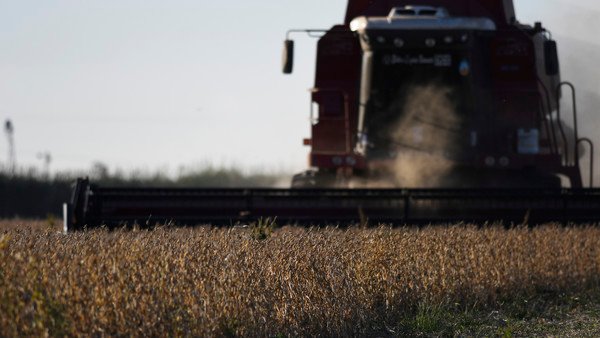 La soja llegó a US$ 420 y dejará U$S 2.700 millones más pese a que se prevé una menor producción