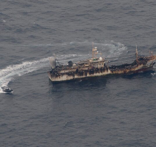 Pescadores de Chile denuncian avistamiento de barcos clandestinos chinos frente a sus costas y temen por sus trabajos