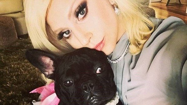Cinco detenidos por el secuestro de los perros de Lady Gaga