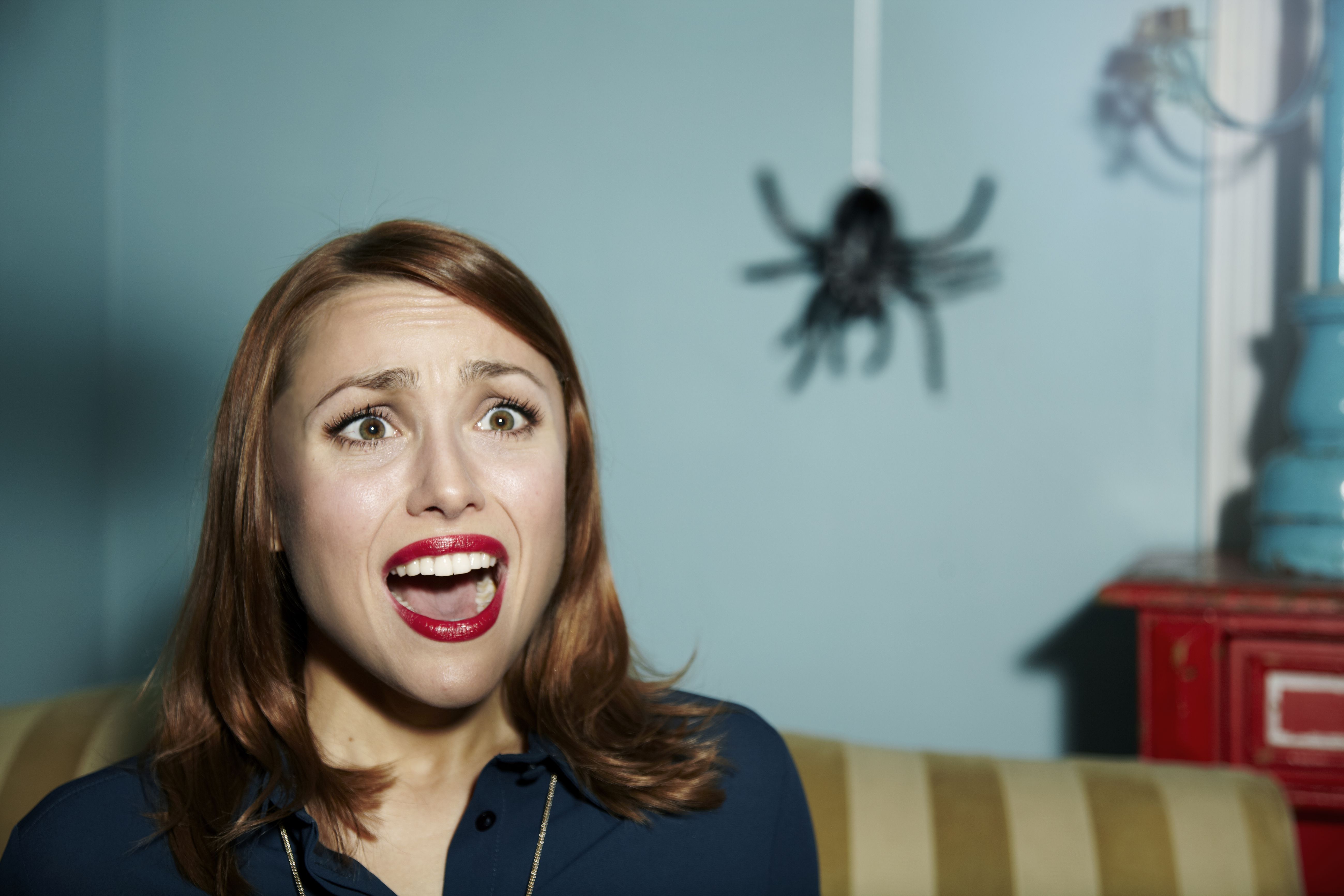 Fobias cucarachas, serpientes, arañas