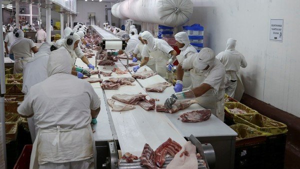 Rulo cárnico: actualizan los valores de referencia para la exportación de carne bovina