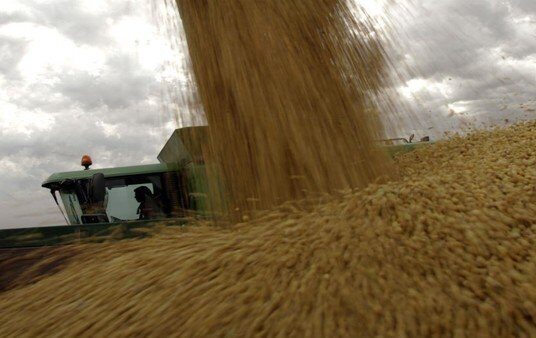 Propiedades y autos de lujo: el embargo por US$3100 millones a una agroexportadora