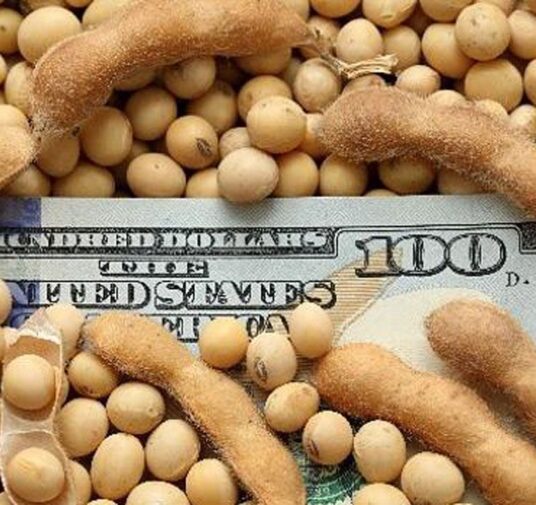 La entrada de dólares del agro en el primer semestre del año fue récord histórico: ingresaron USD 16.600 millones