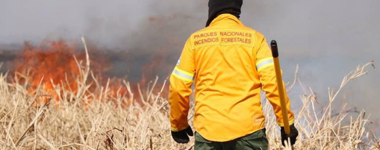 Brigadistas de Nación, Santa Fe y Entre Ríos combaten los incendios en las islas del Paraná