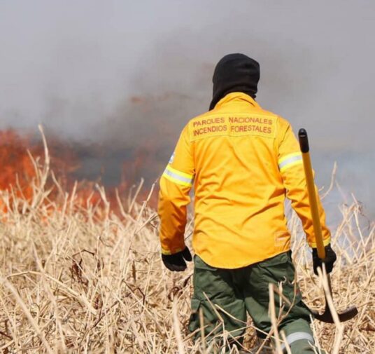 Brigadistas de Nación, Santa Fe y Entre Ríos combaten los incendios en las islas del Paraná