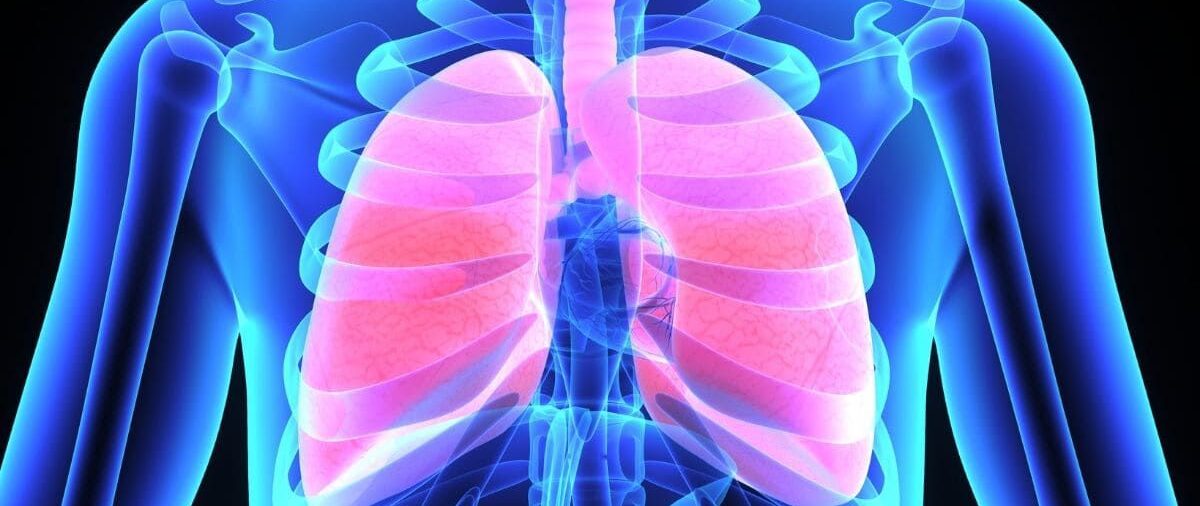 Por primera vez detectaron microplásticos en zonas profundas del tejido pulmonar humano