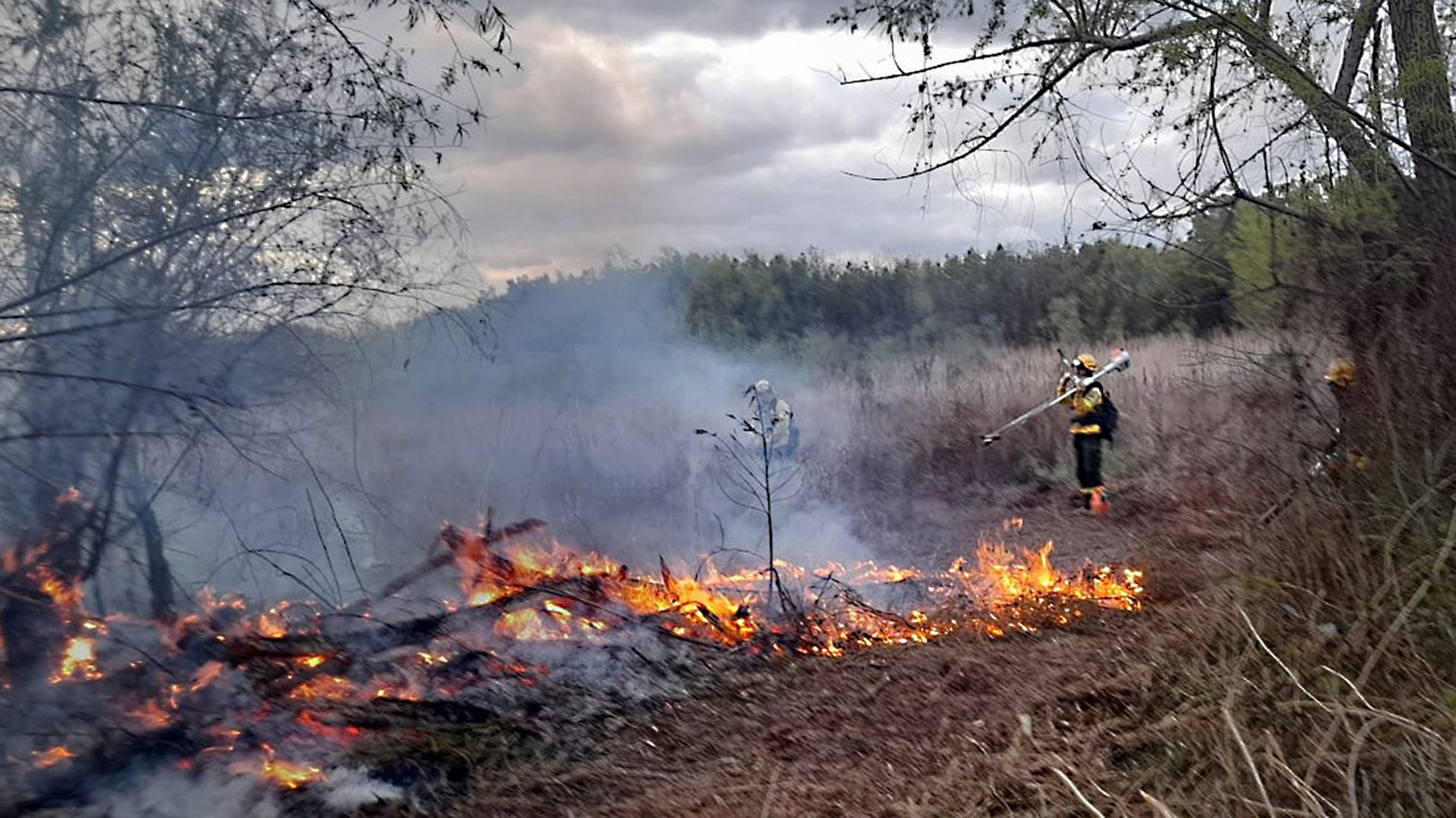 incendios en el Delta - Juan Cabandie