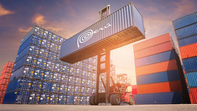 Las Zonas Económicas Especiales sumaron US$ 151 millones en exportaciones e importaciones.