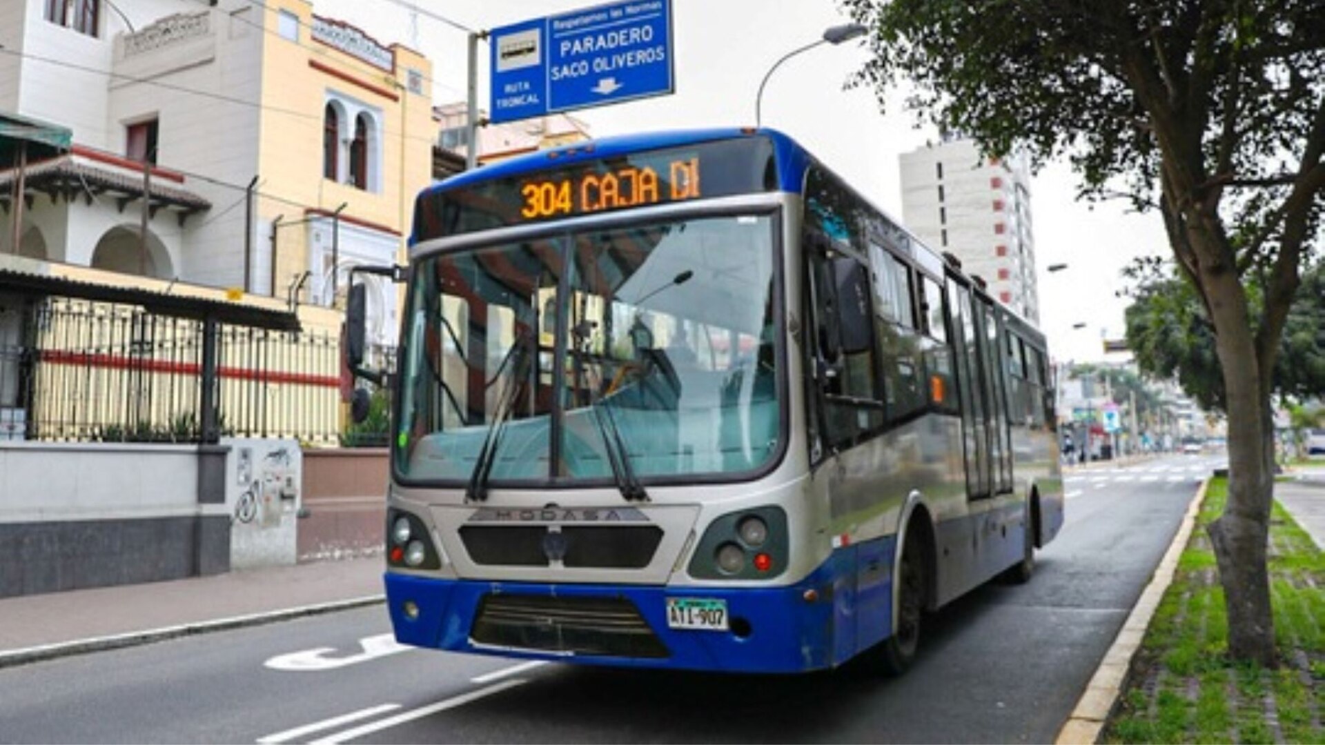 Corredor azul