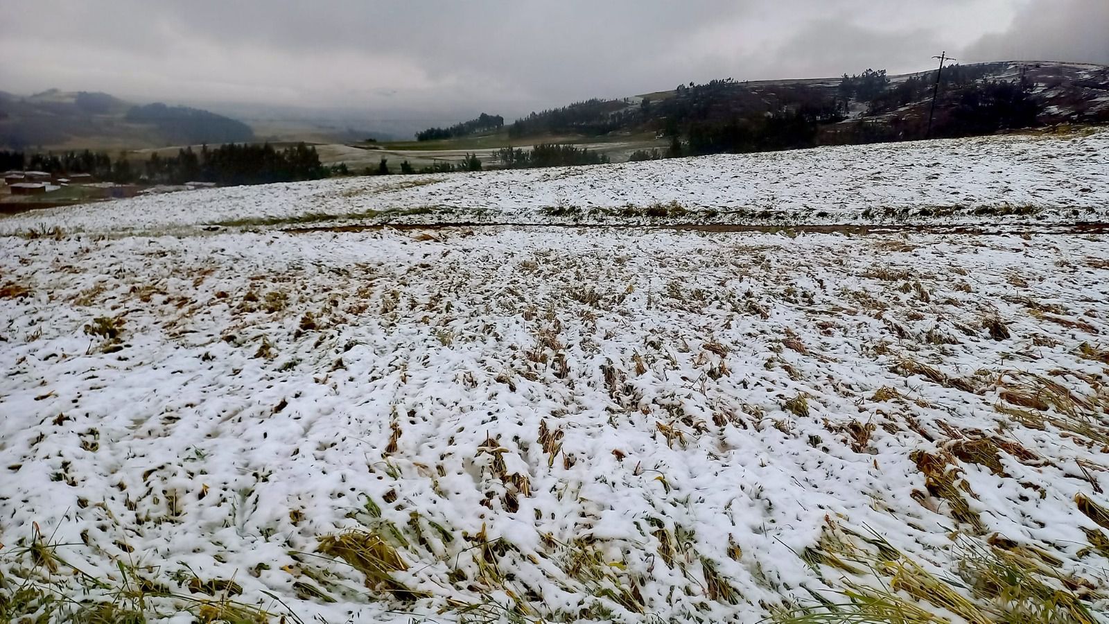 Nieve afectada cultivos en Maras (Cusco en portada)