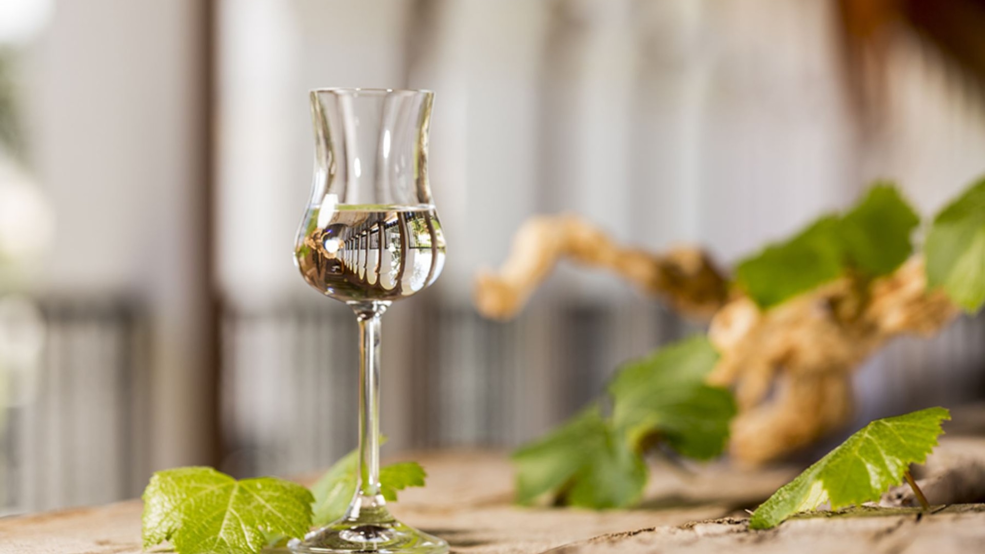 Sabores en debate: Pisco peruano genera discordia tras controvertida calificación en TasteAtlas.