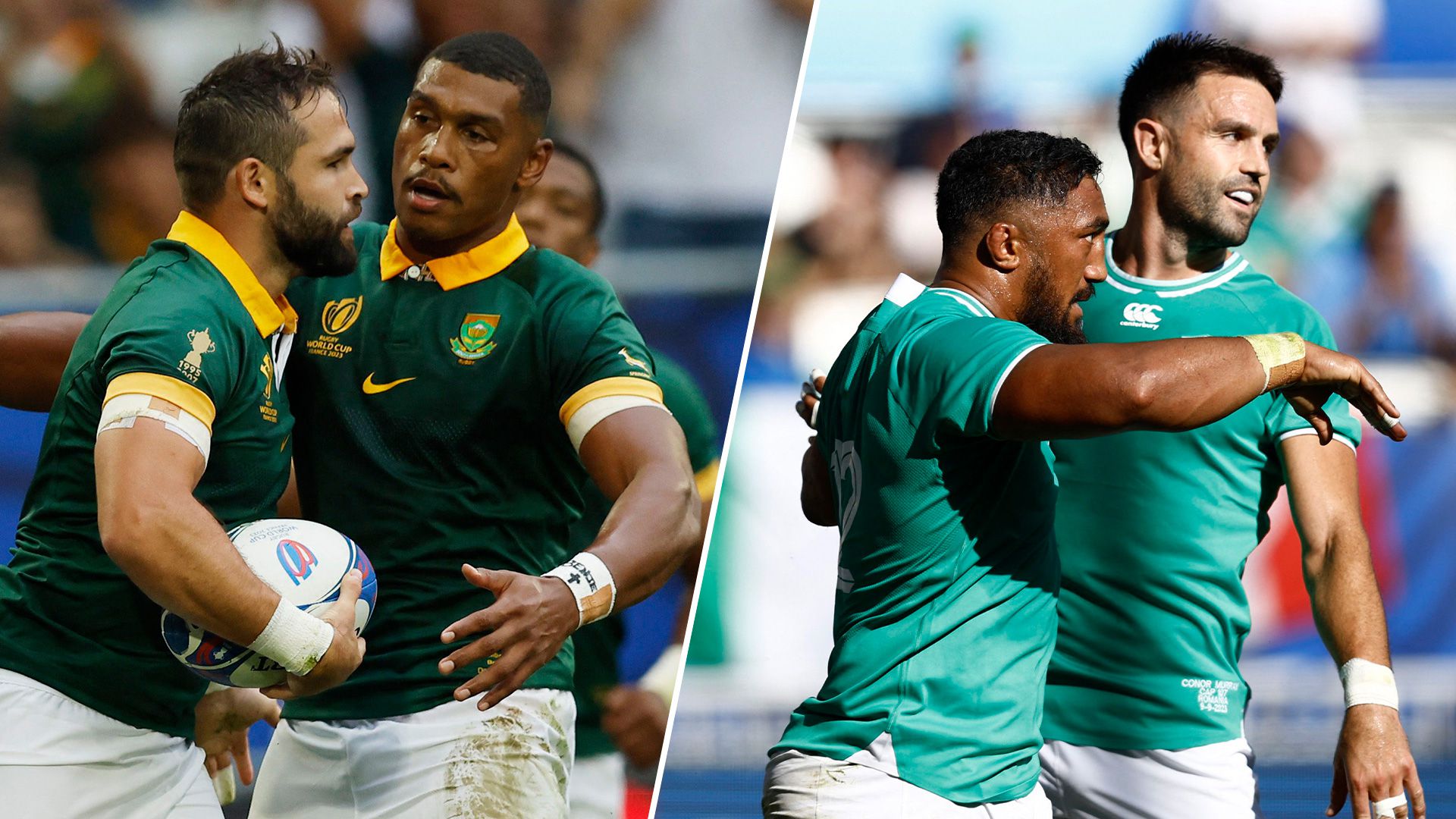 Sudáfrica vs. Irlanda, Mundial de rugby