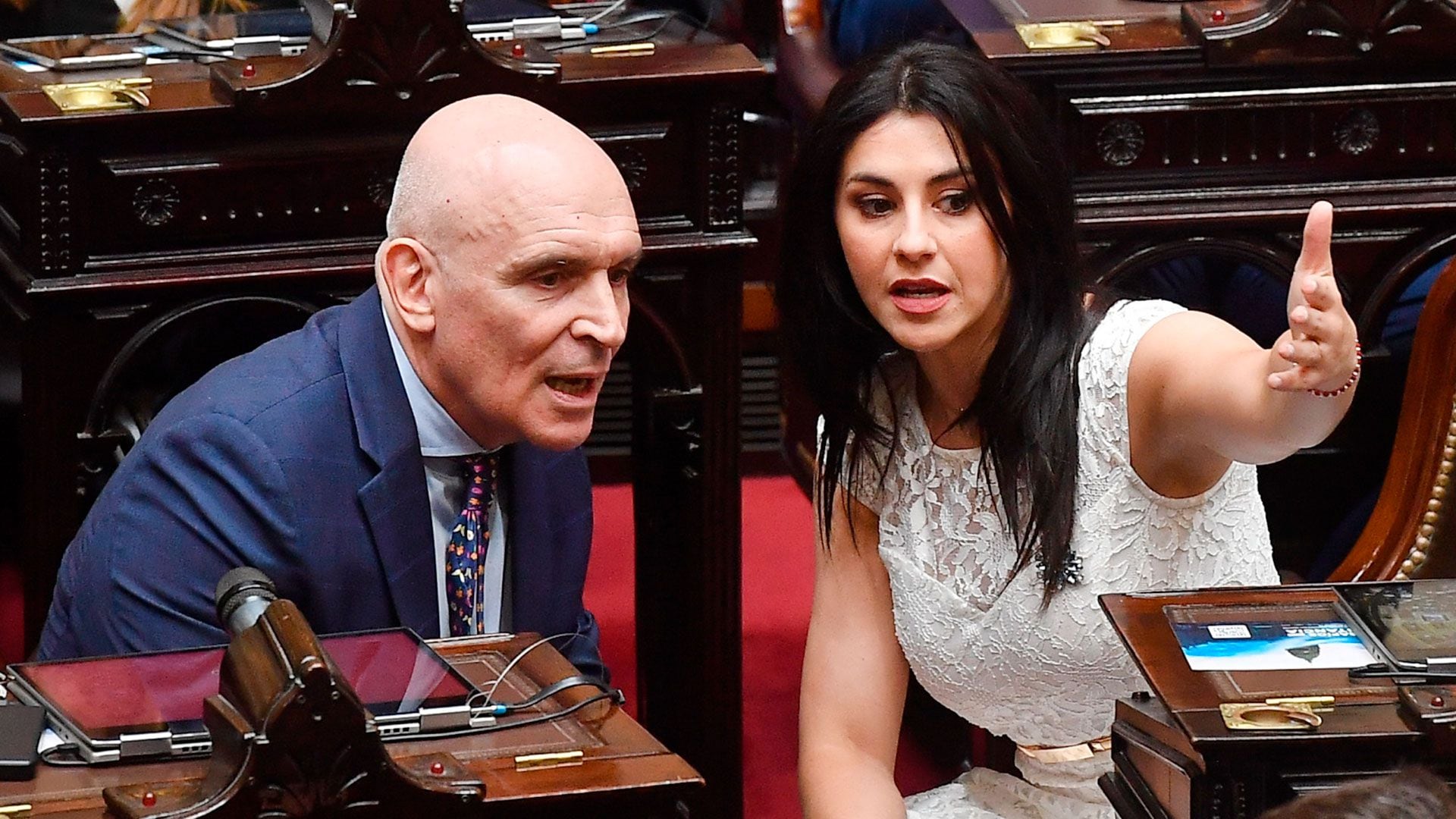 Sesion Jura de Diputados 2023