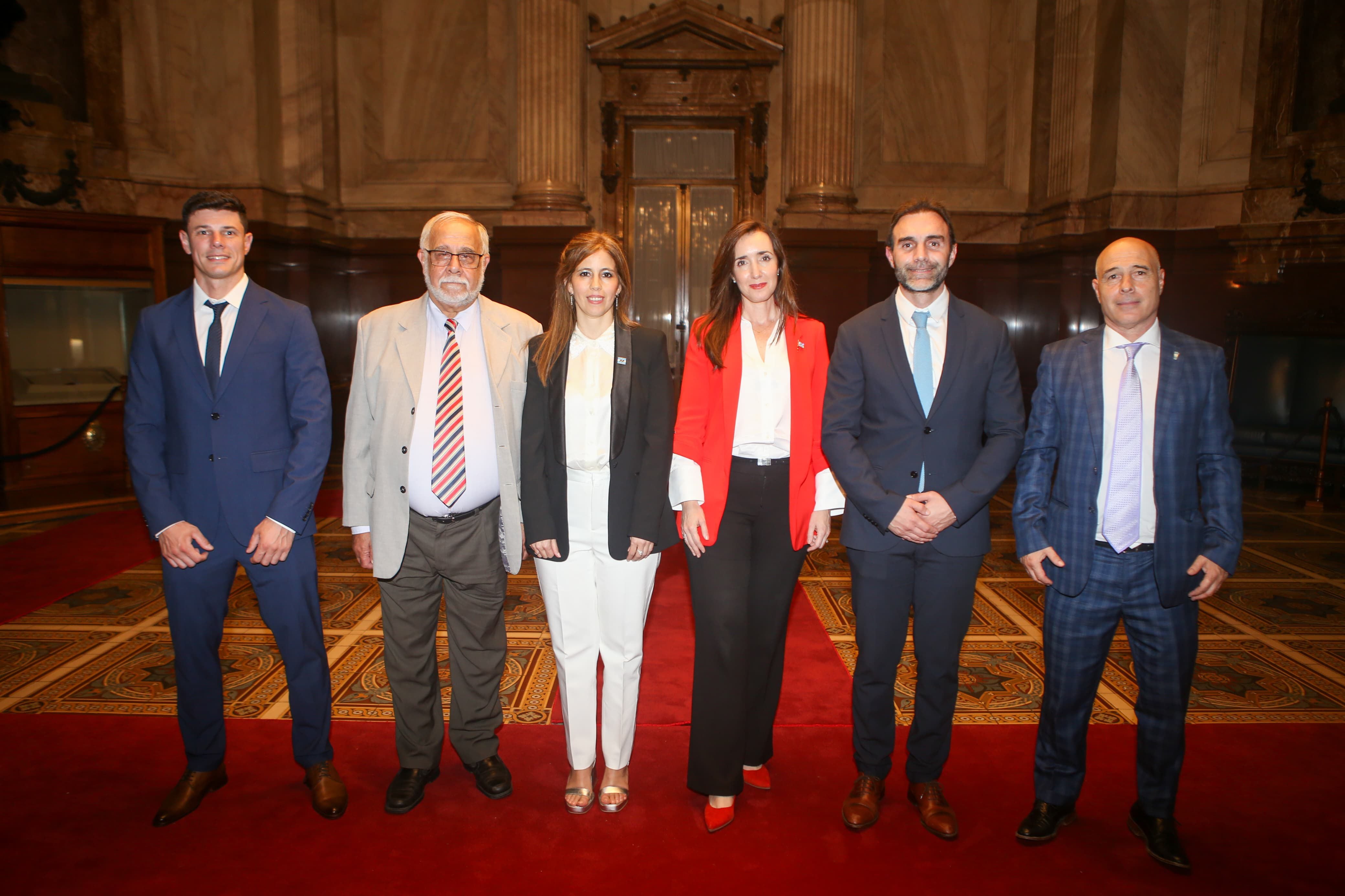 Senadores libertarios