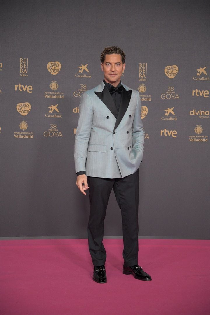 El cantante David Bisbal posa en la alfombra rosa previa a la gala de la 38.ª edición de los Premios Goya