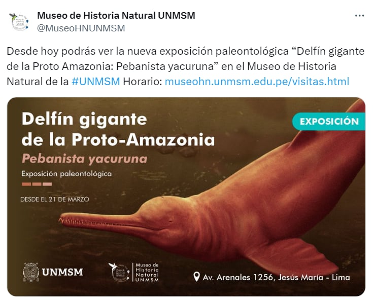 El horario de visita al MHN, ubicado en la avenida Arenales 1256, Jesús María, es de martes a sábado, de 10:00 a. m. a 5:00 p. m.