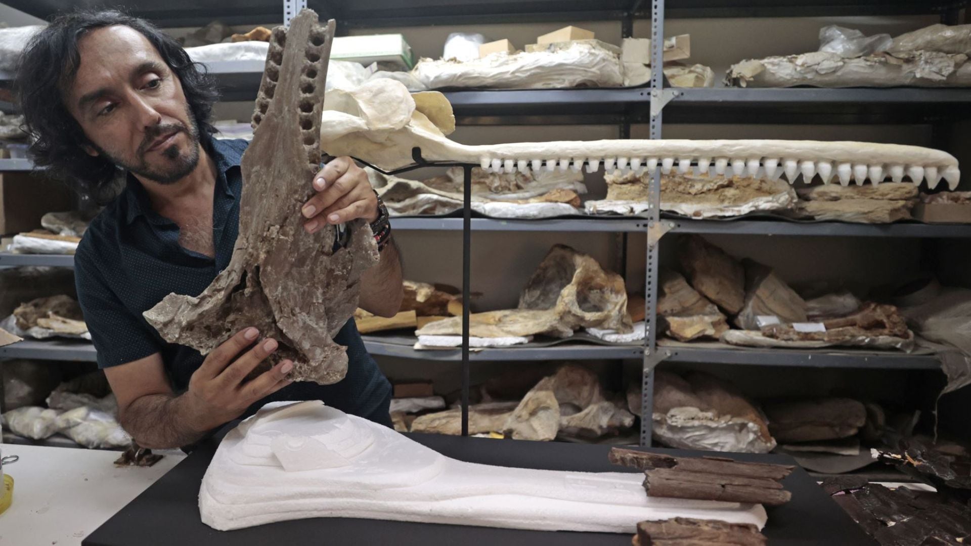 Aldo Benites-Palomino, paleontólogo peruano que forma parte del Departamento de Paleontología de la Universidad de Zúrich y el Departamento de Paleontología de Vertebrados del Museo de Historia Natural (MHN) de la Universidad Nacional Mayor de San Marcos (UNMSM).