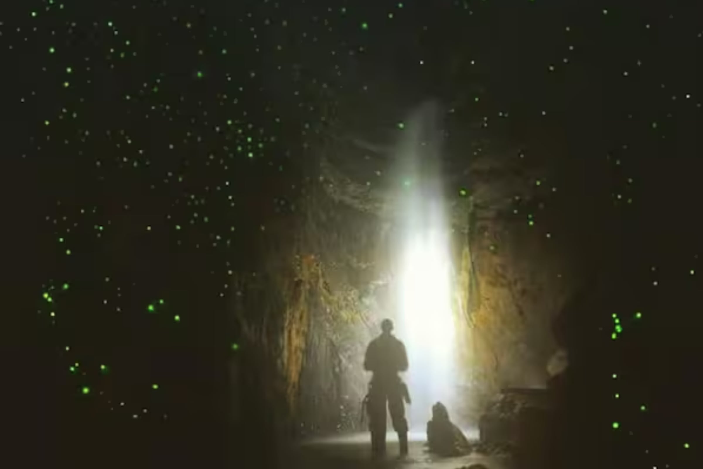 Cueva Las Cacas