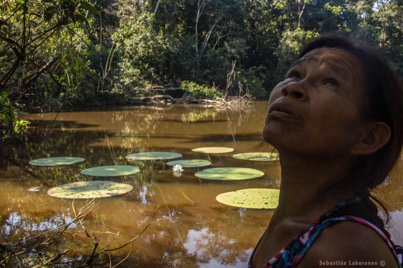 Parque Nacional Natural Amacayacu- amazonas colombiano-Colombia