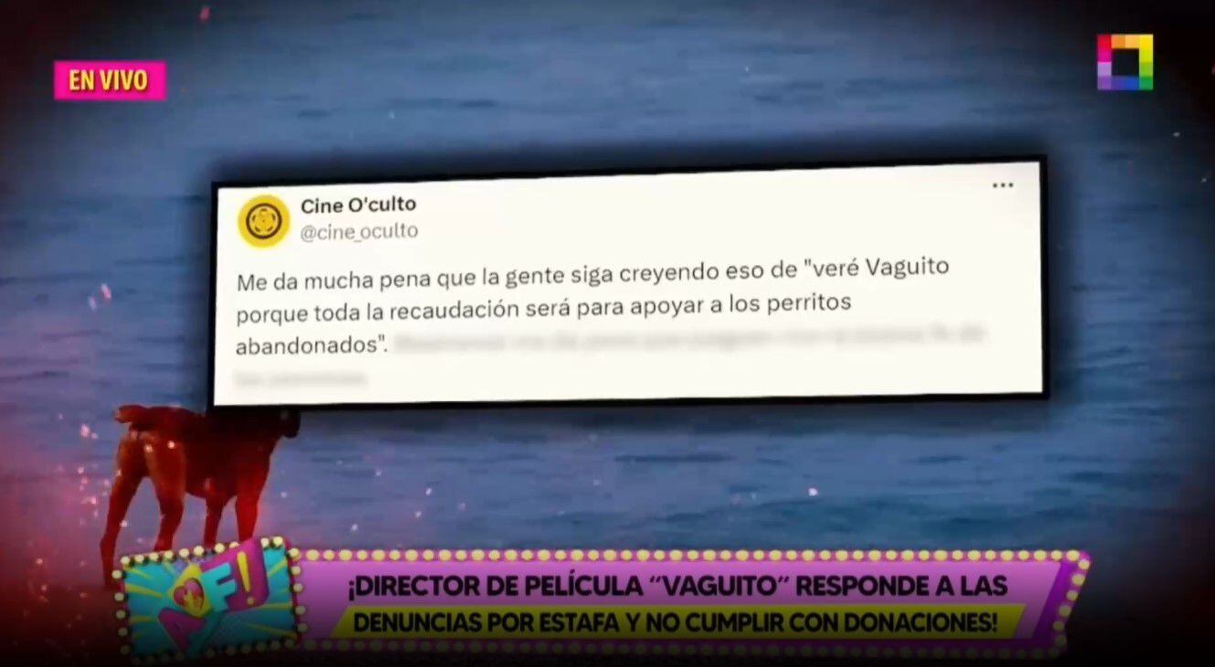 Director de ‘Vaguito’ responde a acusaciones de incumplimiento en donaciones a albergues. (Captura: Amor y fuego)