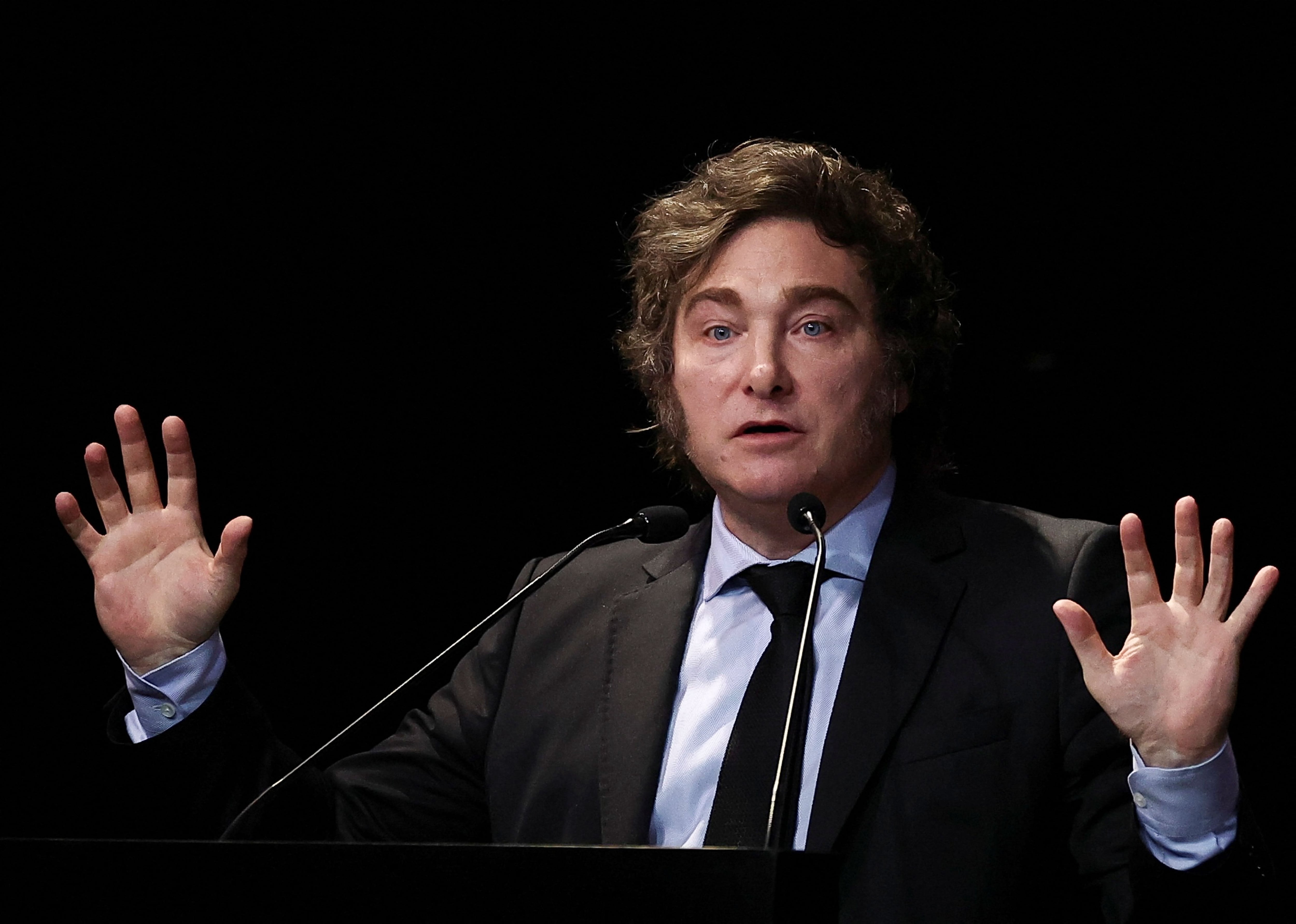 El presidente Javier Milei