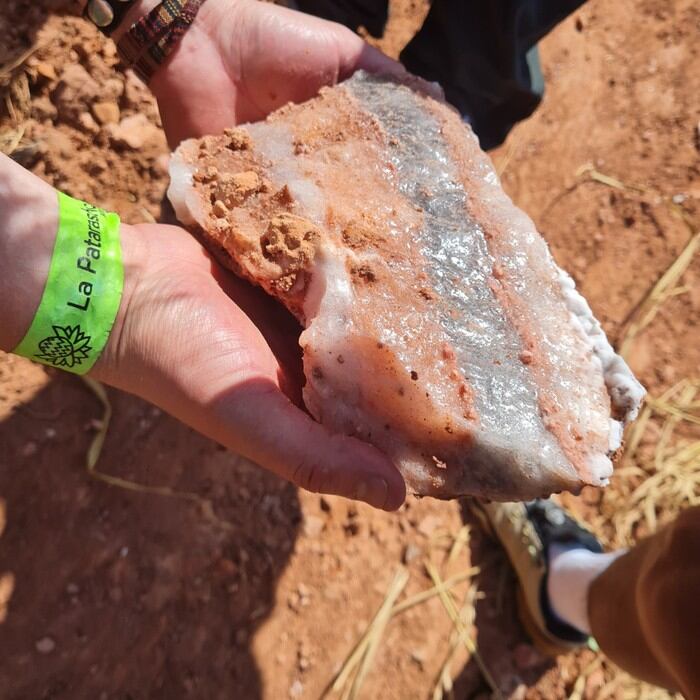 Conformada por rocas volcánicas y extraída artesanalmente, esta sal es reconocida por su pureza y sus beneficios para la salud, atrayendo a expertos y turistas por igual.
Foto: La Mula