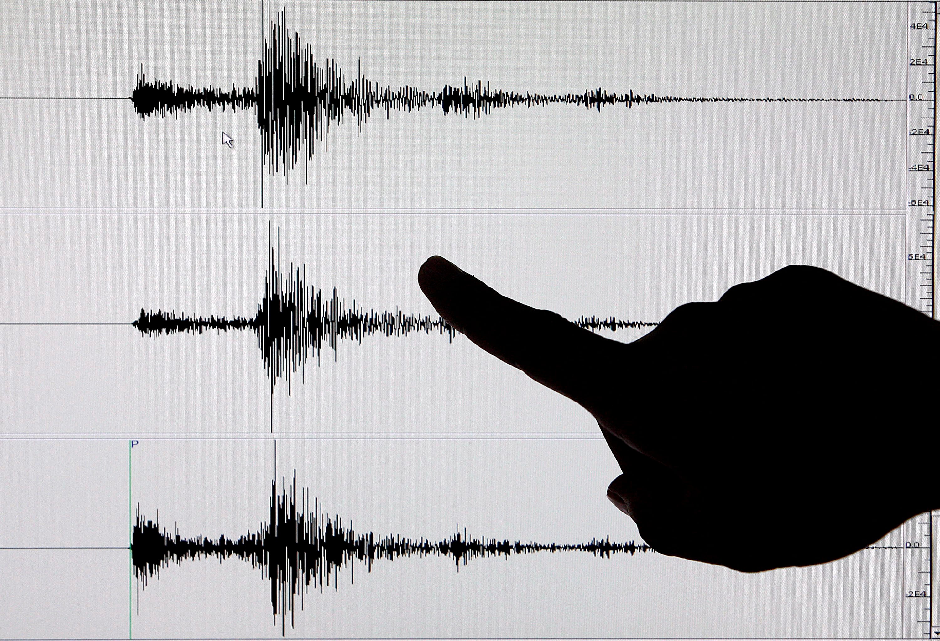 Diferencias entre sismo, movimiento telúrico y temblor -crédito Alanah M. Torralba/EPA