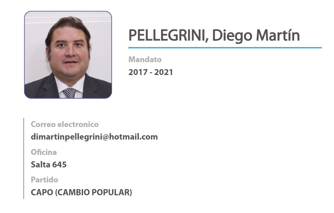 Ficha Diego Pellegrini