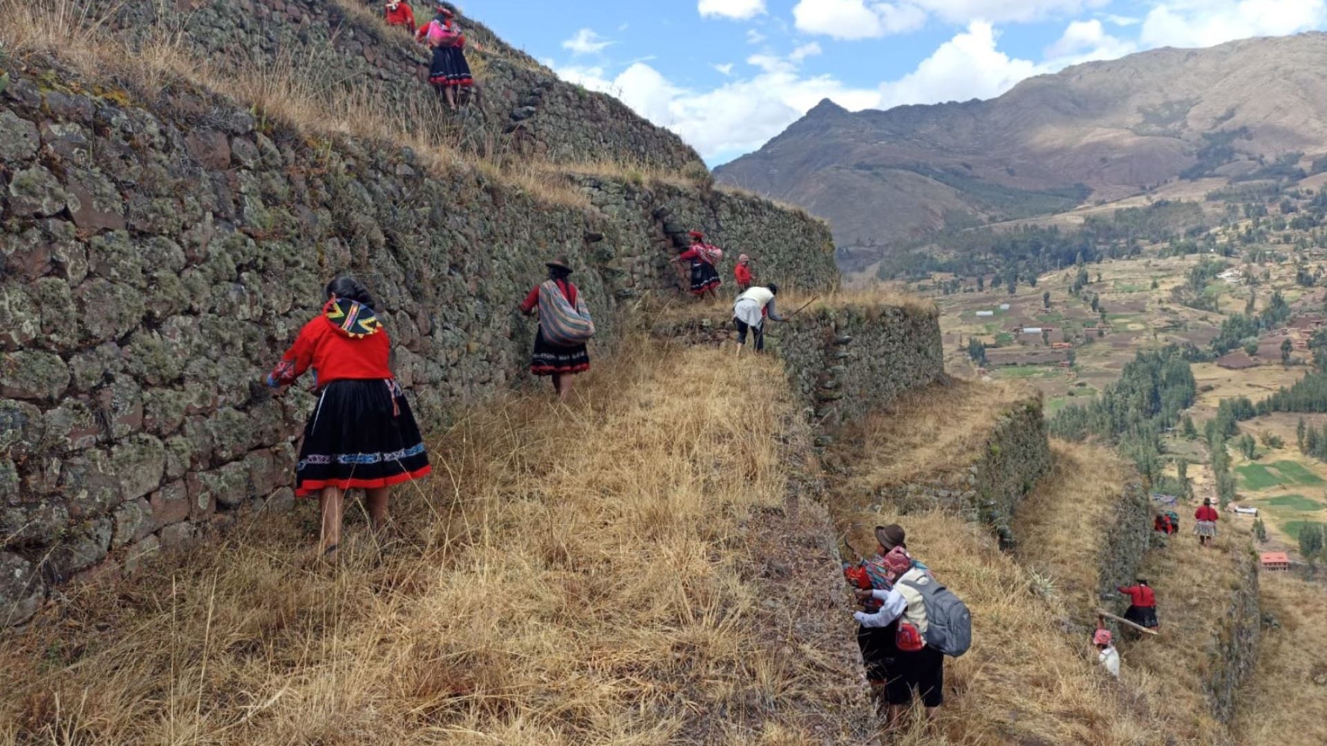 Dina Boluarte manifestó su intención de reactivar 120 mil hectáreas de andenes incas y preincas. (Foto: Andina)